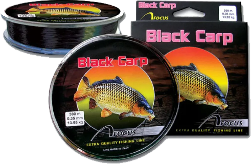Влакно Focus – Black Carp 300m