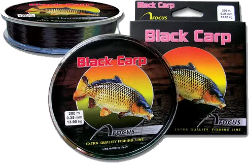 Влакно Focus – Black Carp 300m